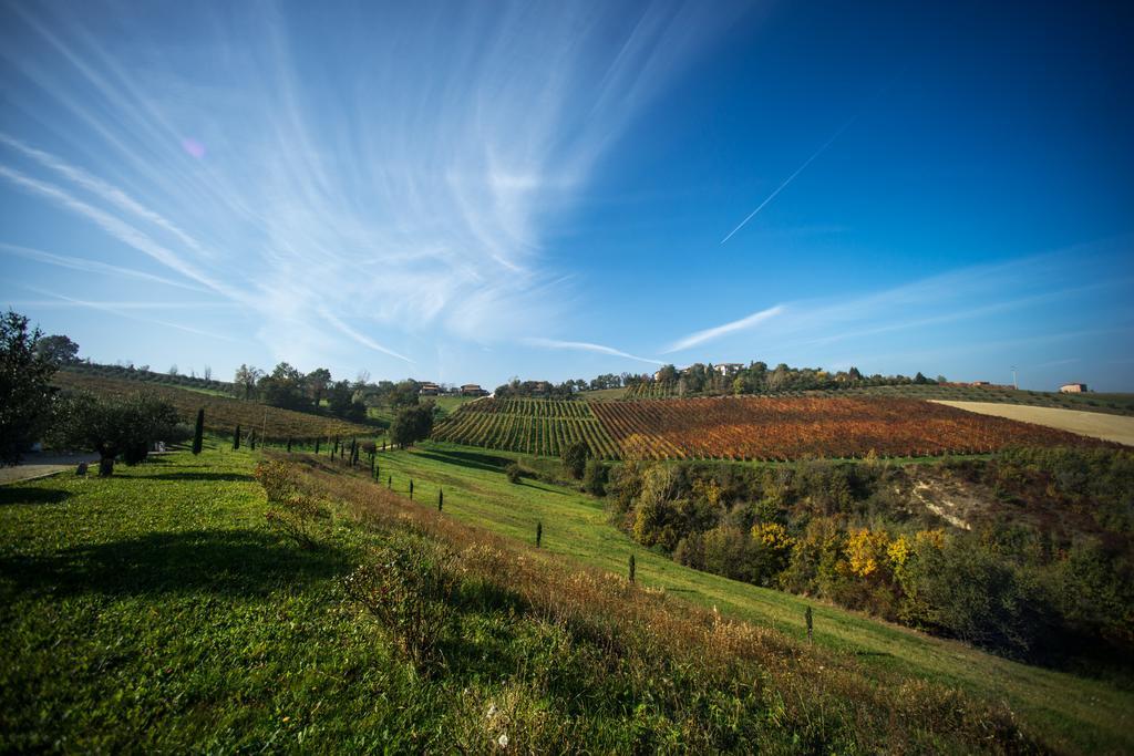 Agriturismo Acetaia Sereni Marano sul Panaro Kültér fotó