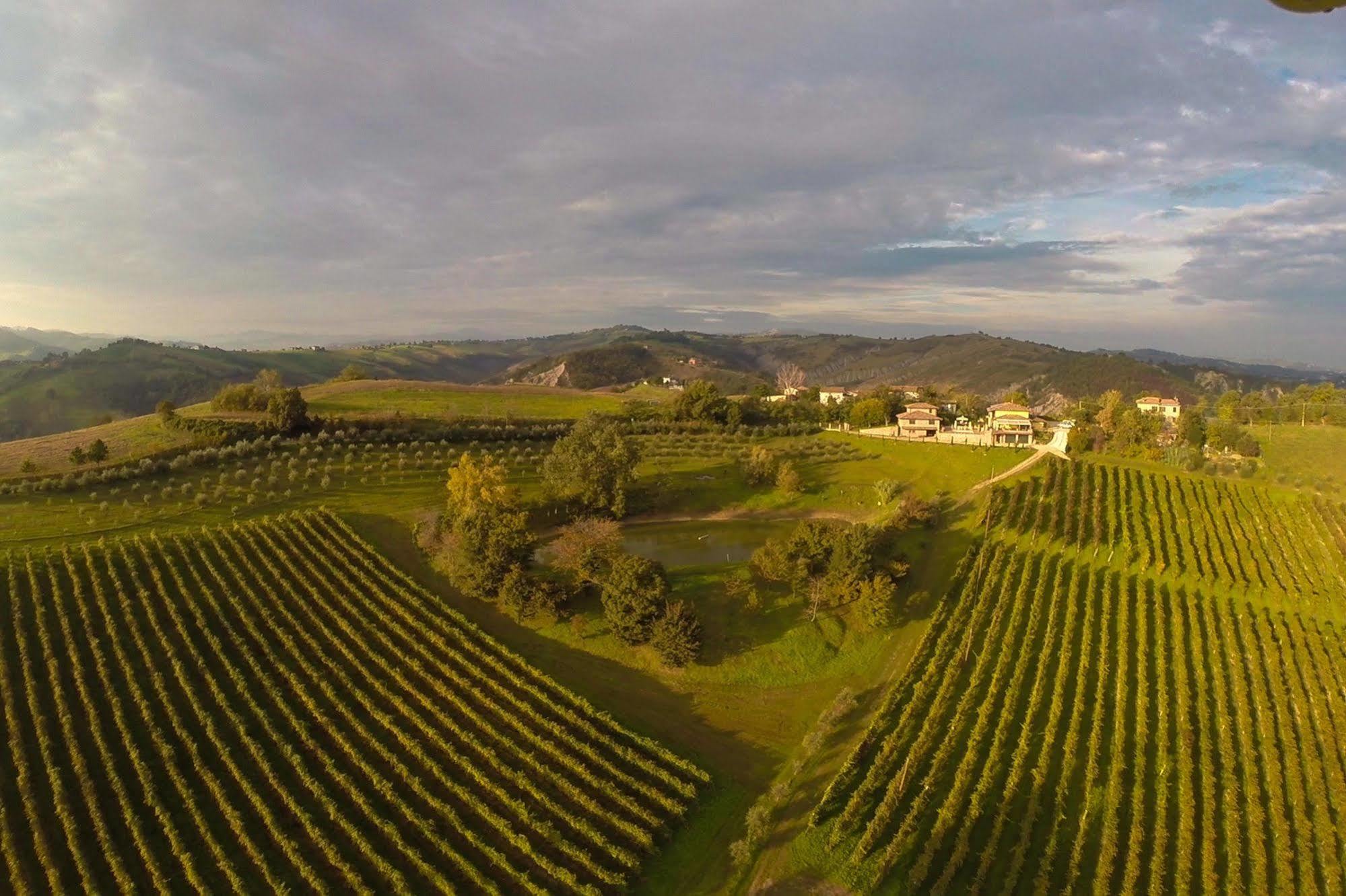 Agriturismo Acetaia Sereni Marano sul Panaro Kültér fotó